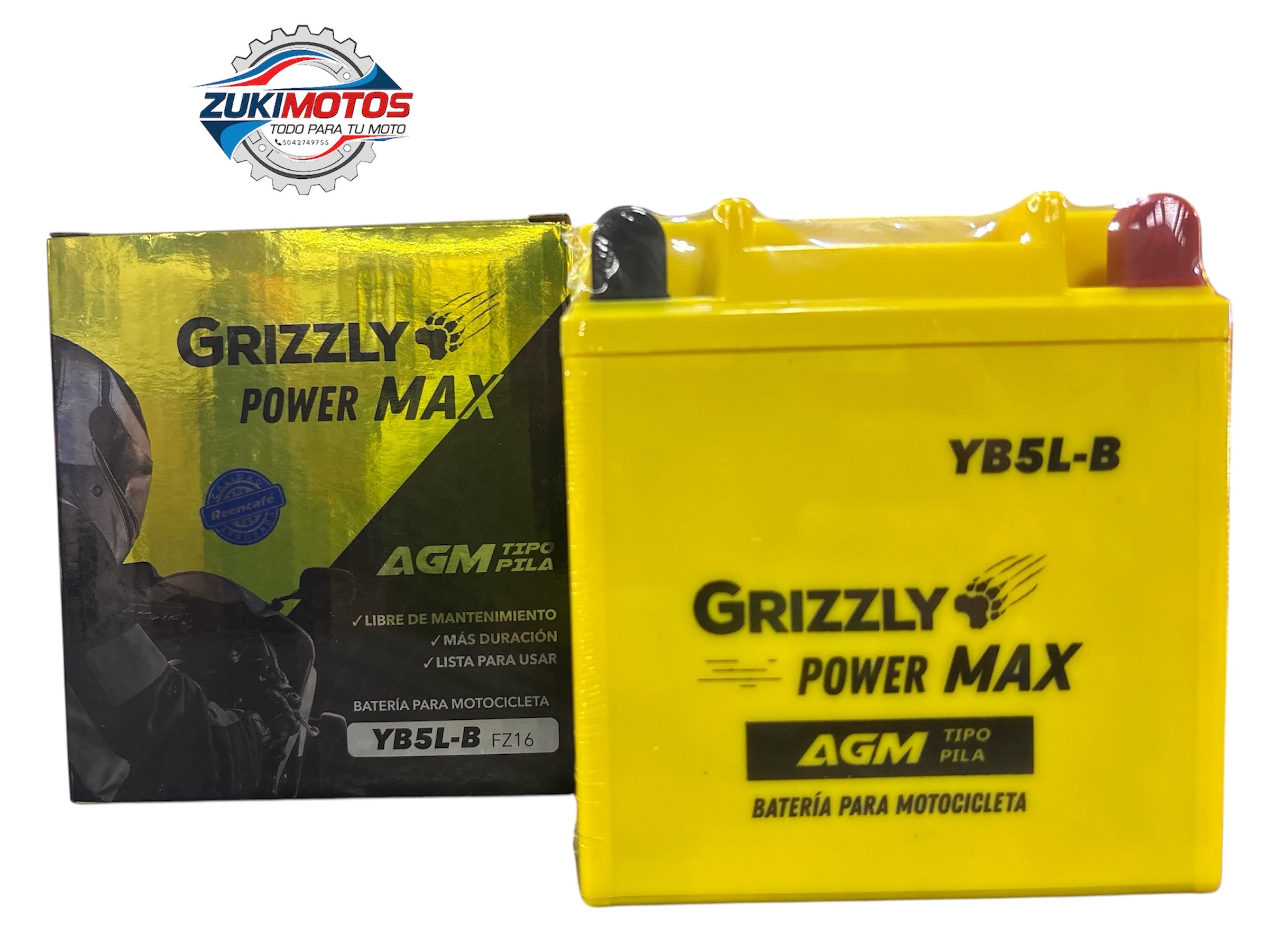Batería YB5L-B (FZ16/AX4/Pulsar135/XTZ125)